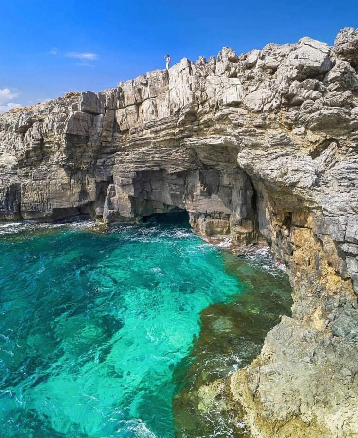 Case Vacanze "Bianco Mare" ポルト・ピノ エクステリア 写真